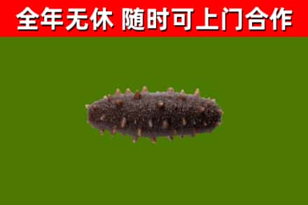 东营市烟酒回收干海参.jpg